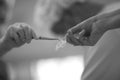 A dentist takes a disposable swab with tweezers